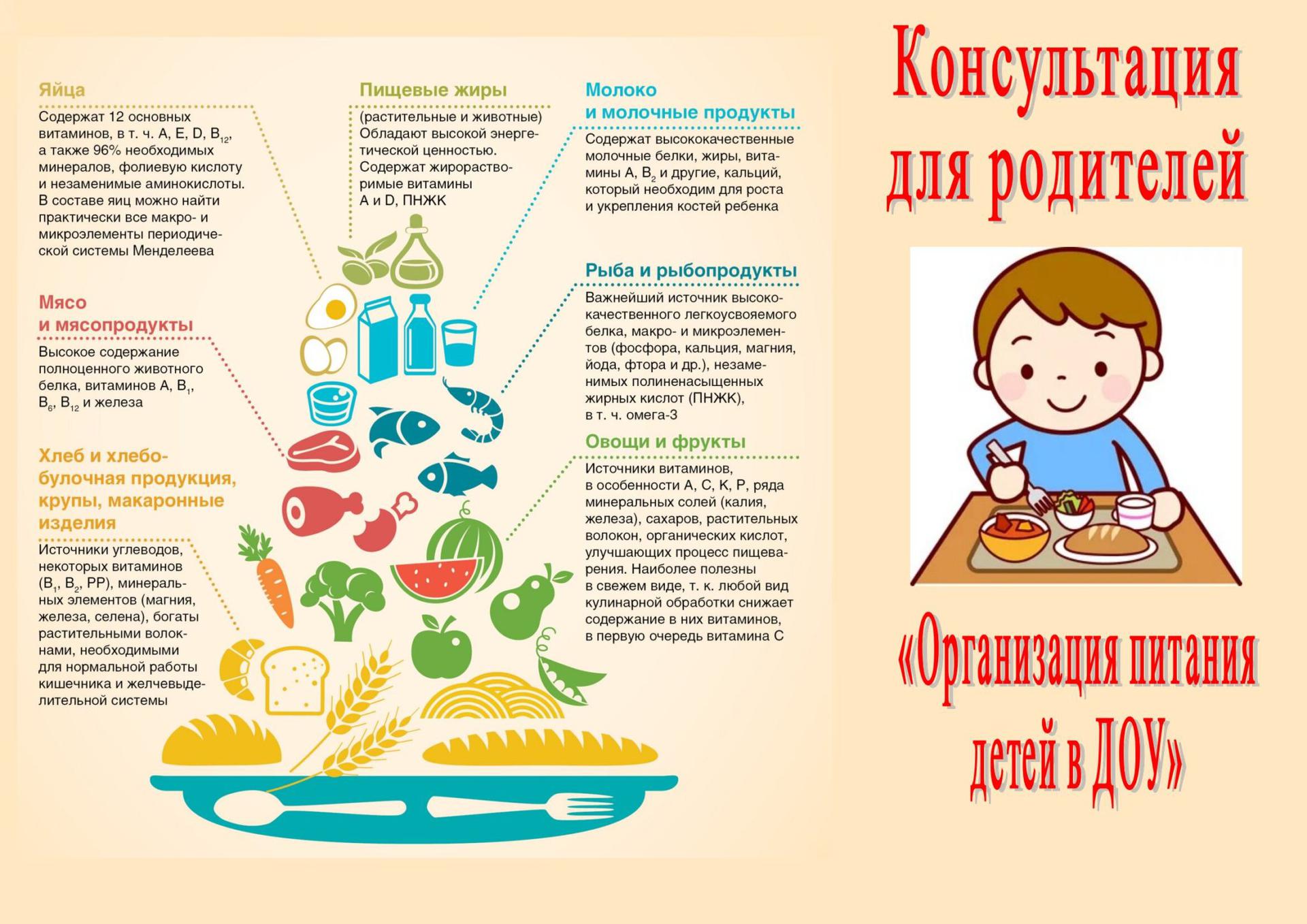 Государственное бюджетное дошкольное образовательное учреждение детский сад  № 127 Невского района Санкт-Петербурга - Организация питания в  образовательной организации